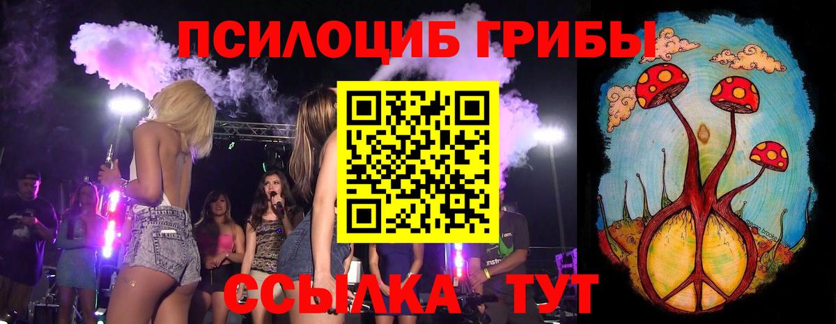 Галлюциногенные грибы мухоморы  Псилоцибиновые грибы мухоморы  Вход с VPN  Камышлов 