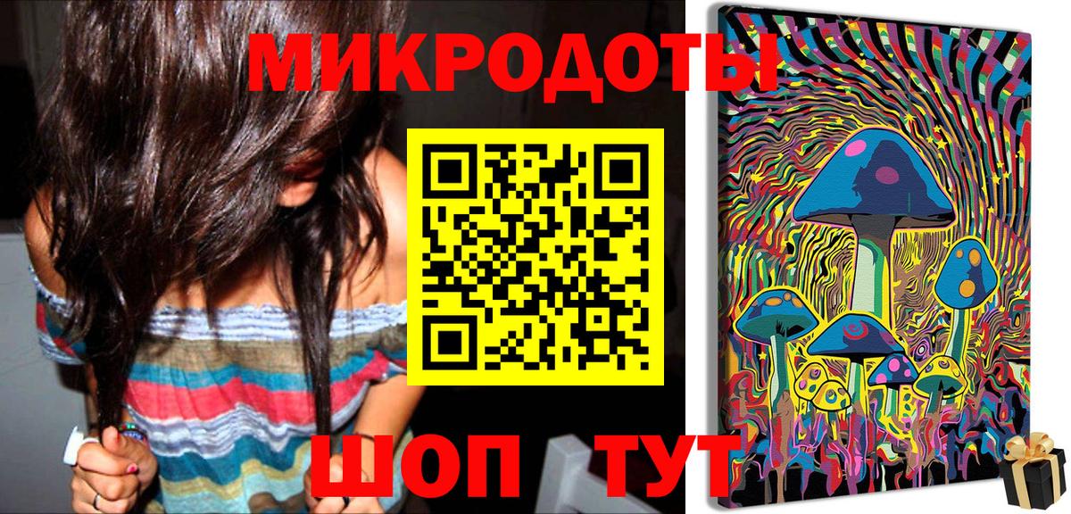 Псилоцибиновые грибы Psilocybe Камышлов